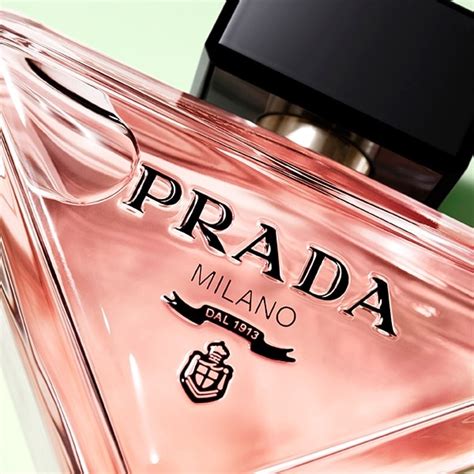 prada paradoxe ireland|Prada paradoxe bottle.